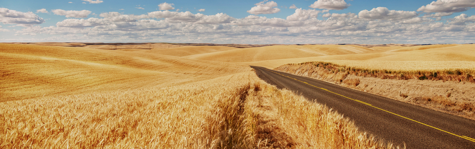 Blog Banner