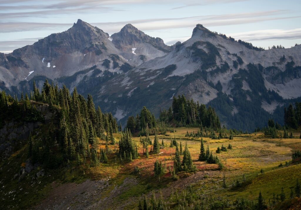 Moving to Washington for Retirement