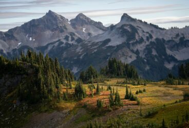 Moving to Washington for Retirement